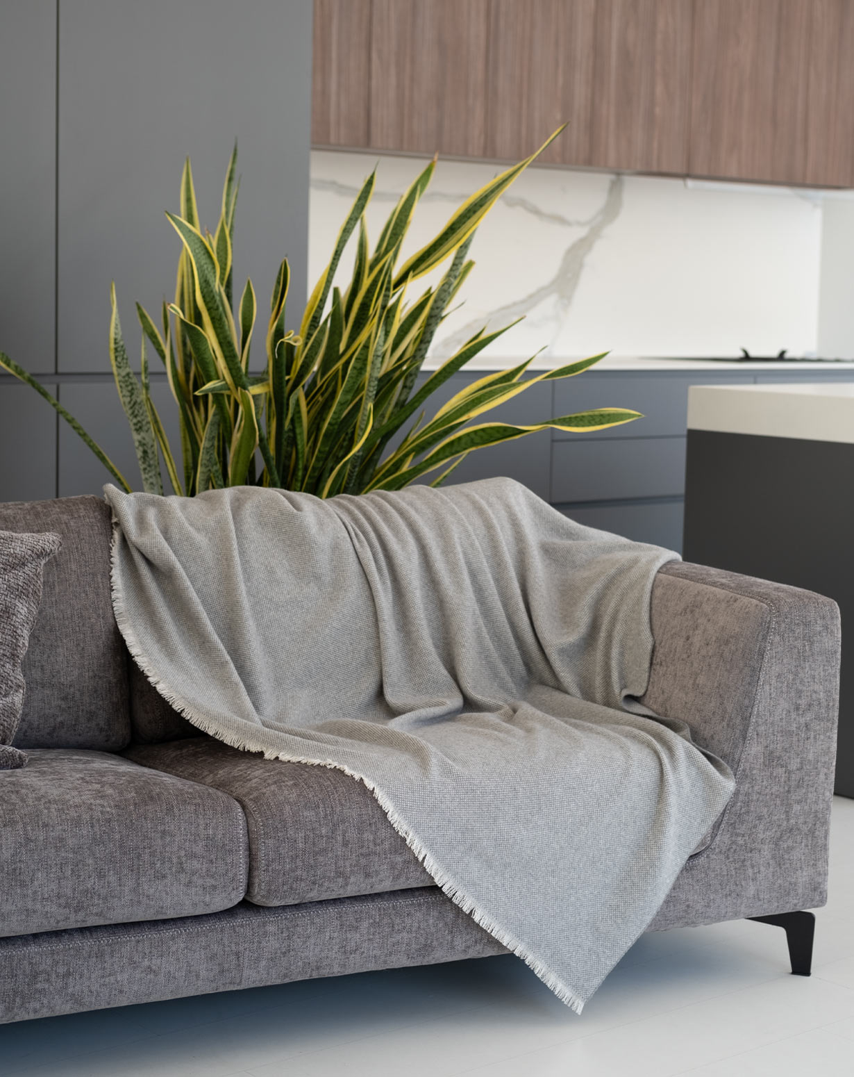 Pure Cashmere Puppytooth Blanket MaisonCashmere